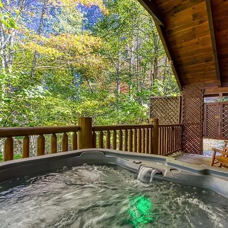 Cozy Bear Lodge By Avada Properties